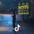 岁月神偷Cx330