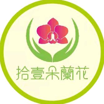拾壹朵蘭花