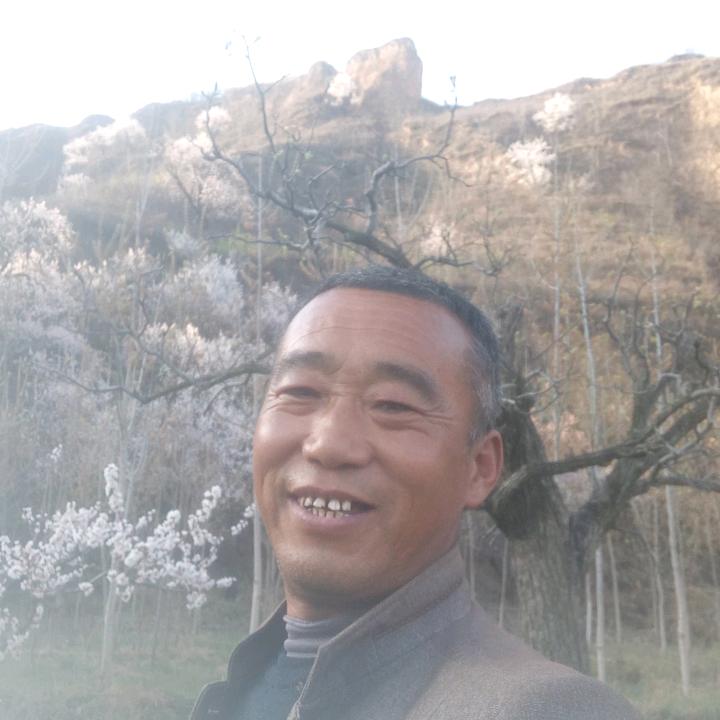 用户不离不弃