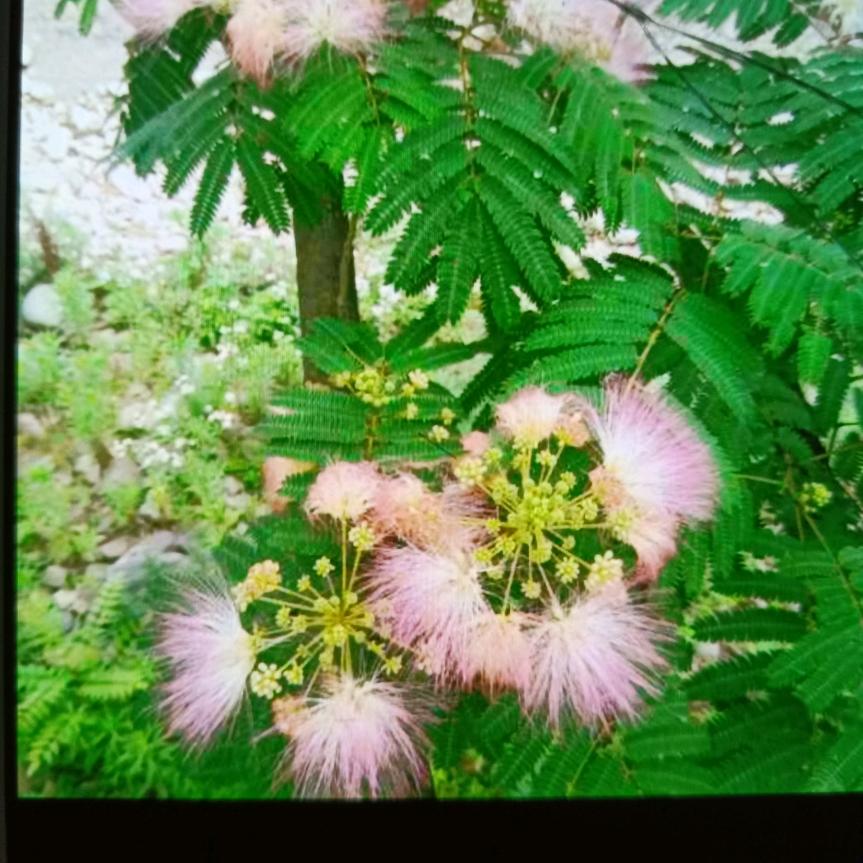 云淡风轻   一切随缘