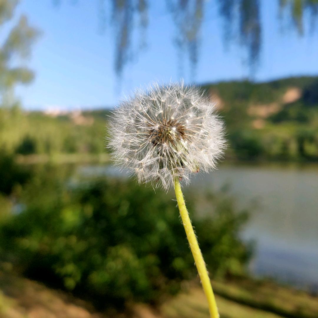 玲♥儿