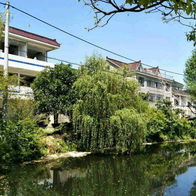手机用户心心念念