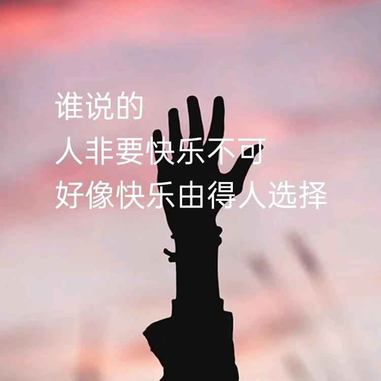 贝影
