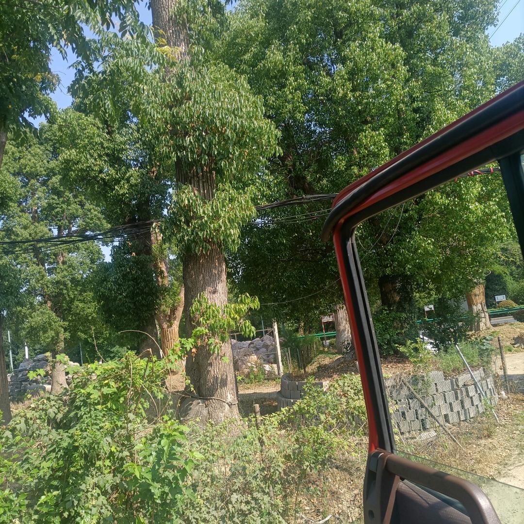 一人一车，浪迹天涯