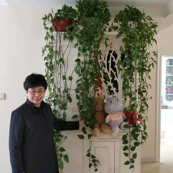 刘雁君