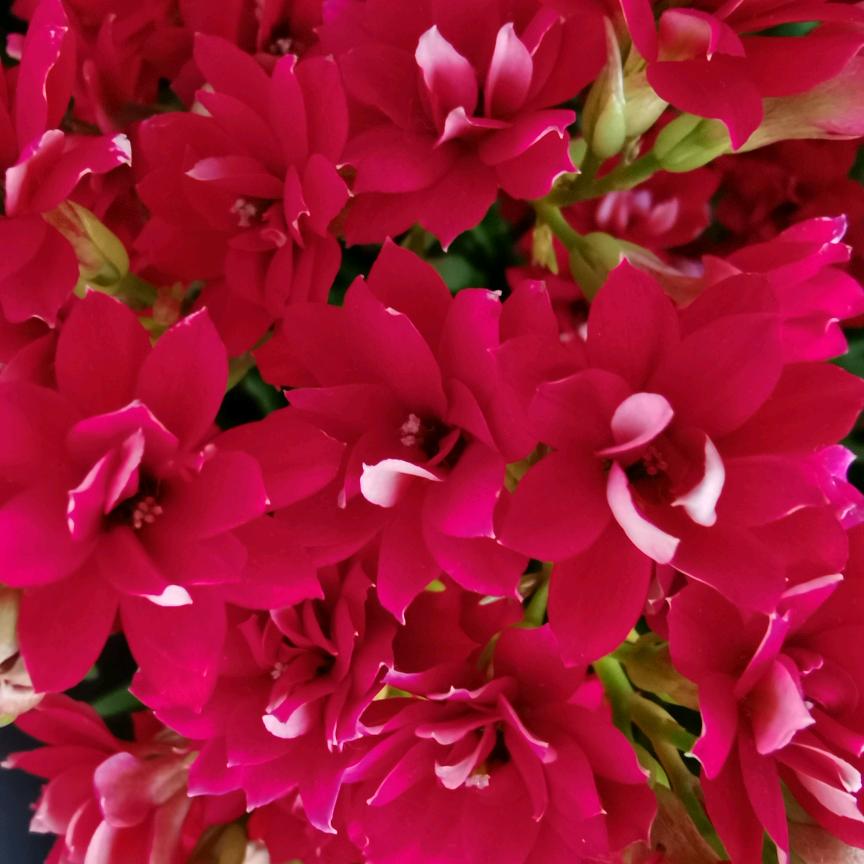 珍惜☀️ ¹²²⁶