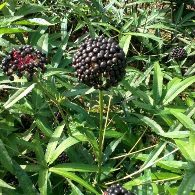 明天会更美好
