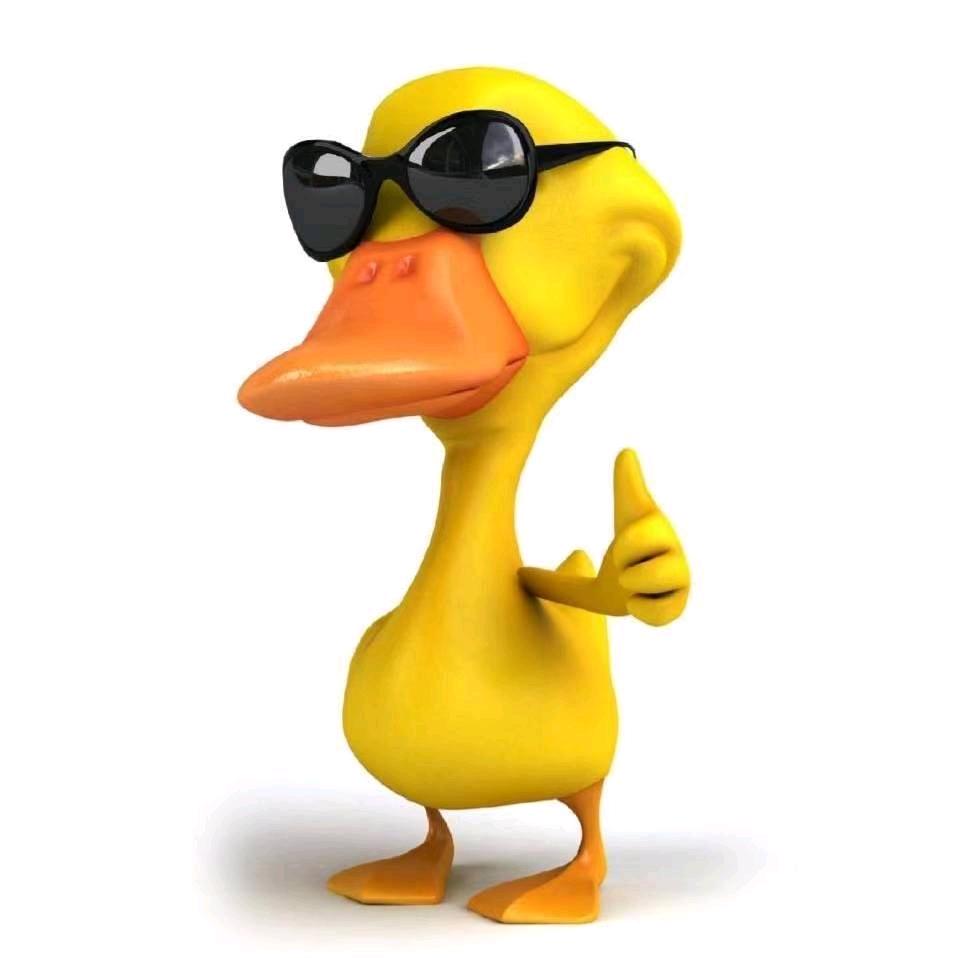 菏泽市牡丹区老九食品商贸行