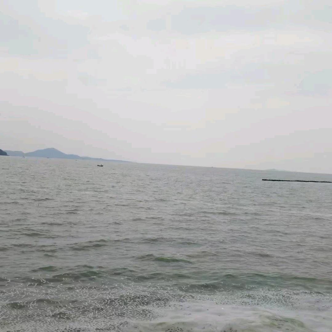 浴火重生