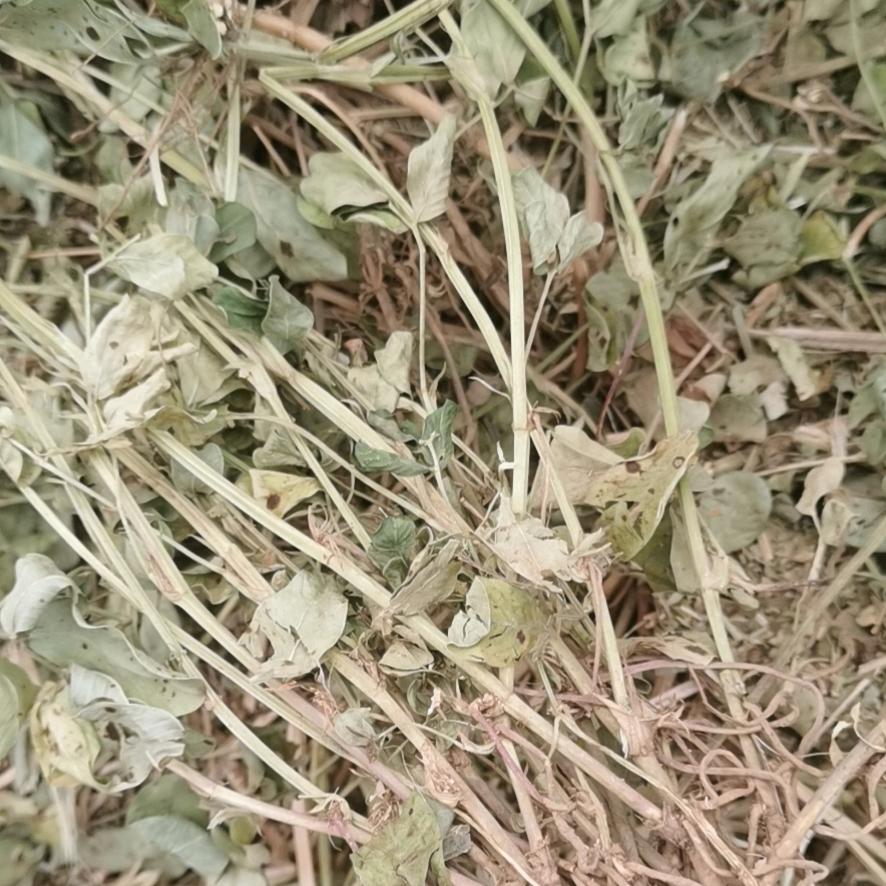 老陈草业