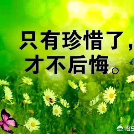 六月的风。