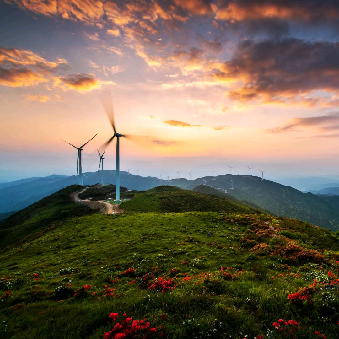 《农村山里娃》