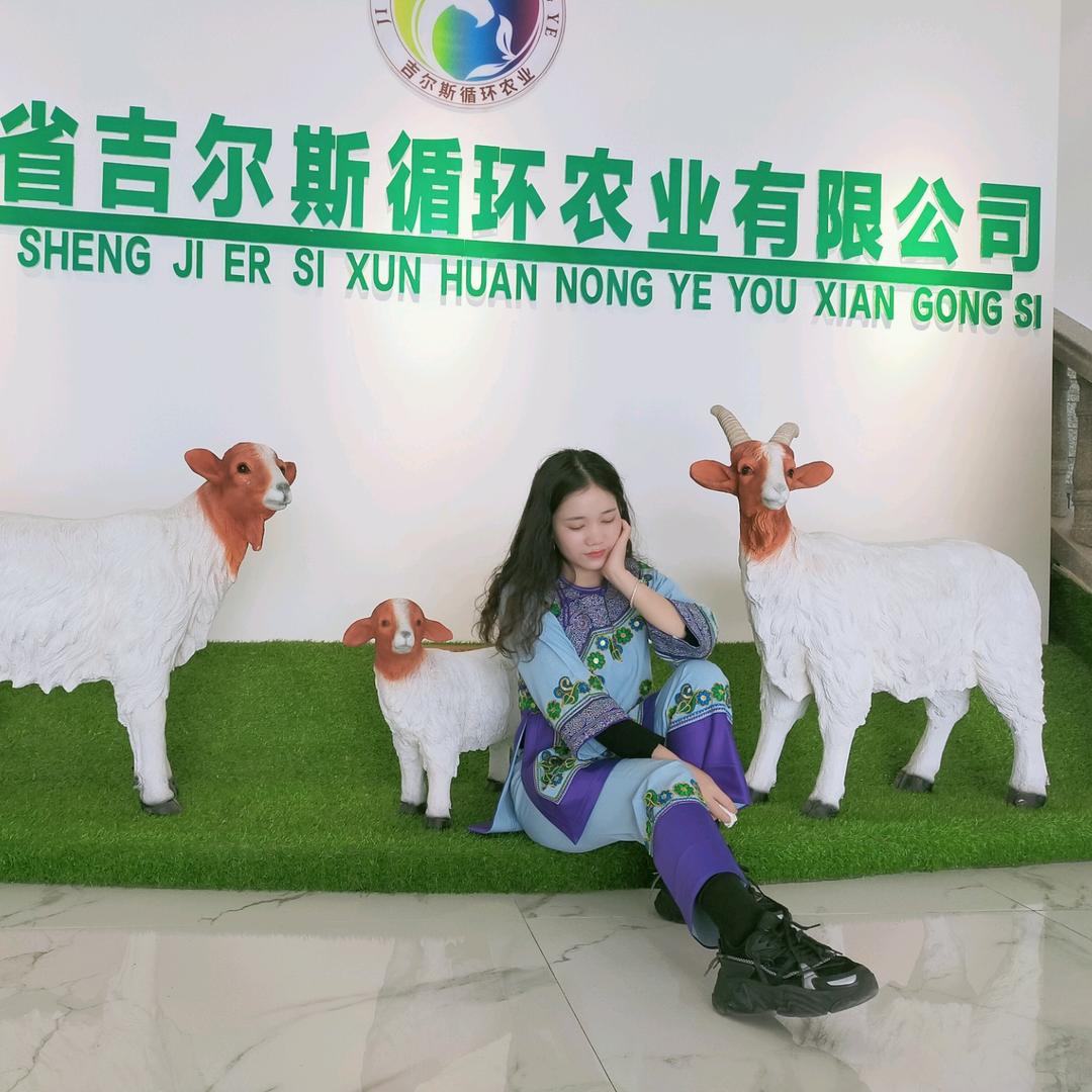 小领子