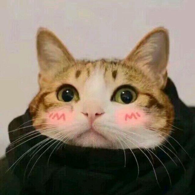 苏辞-