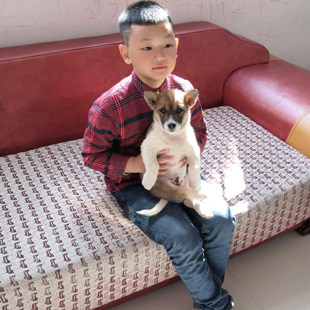 家有俩少爷👨‍👩‍👦‍👦