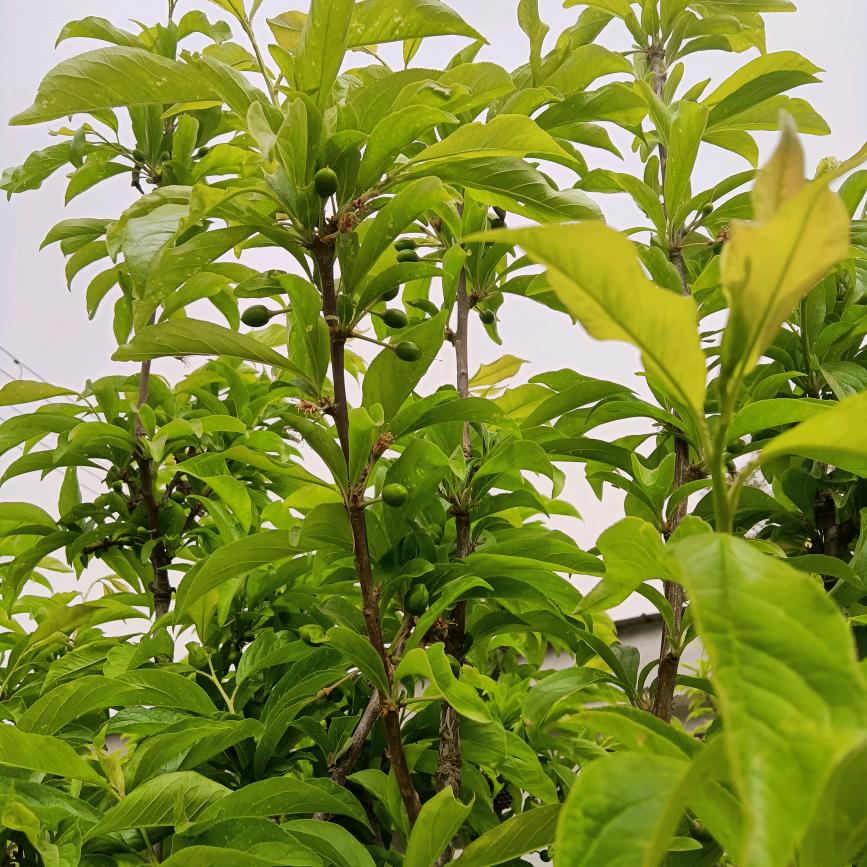 王坤（日常记录）