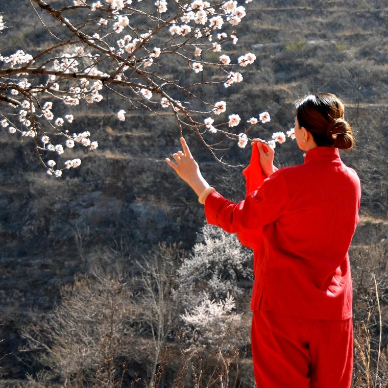 李军芳