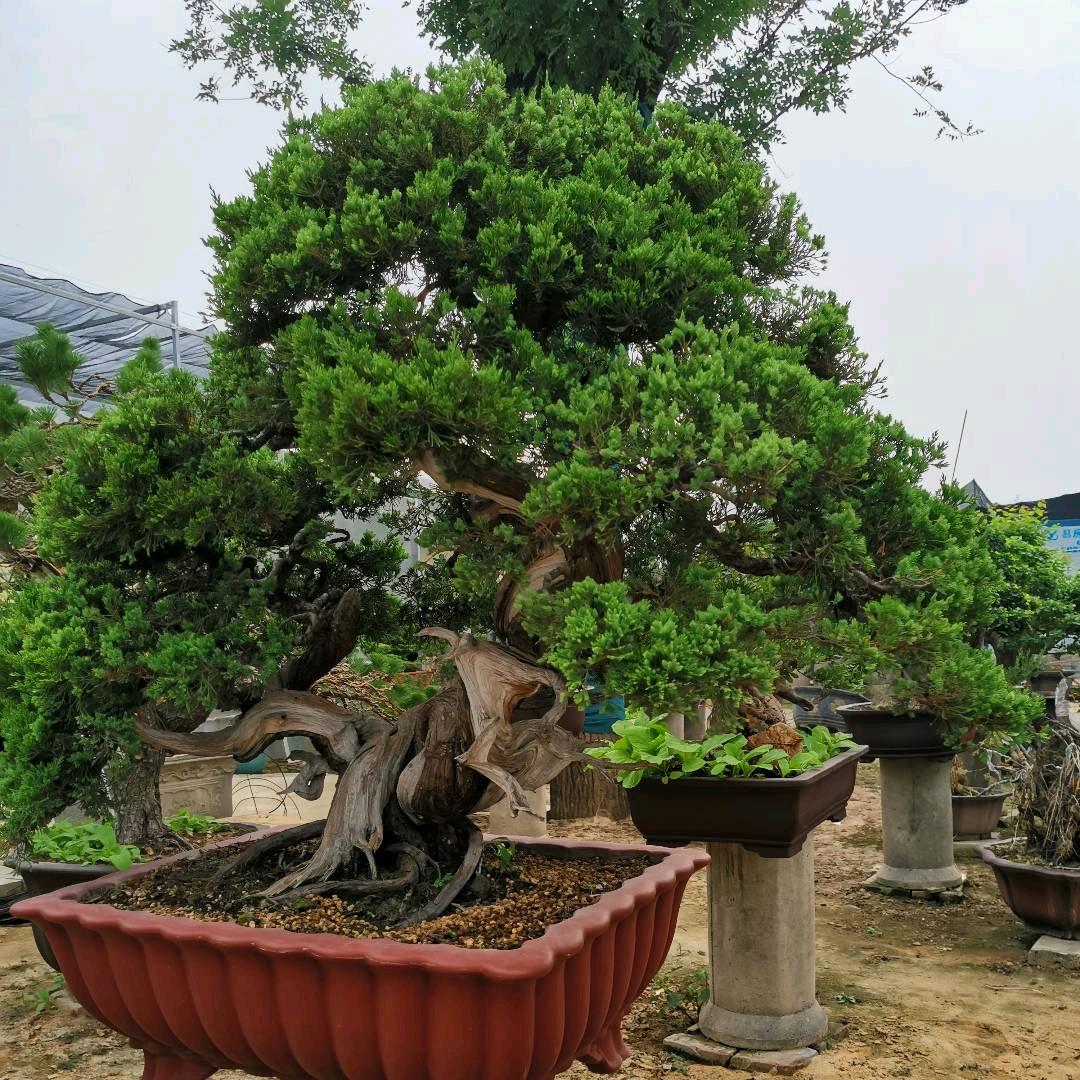 静。。。。哥