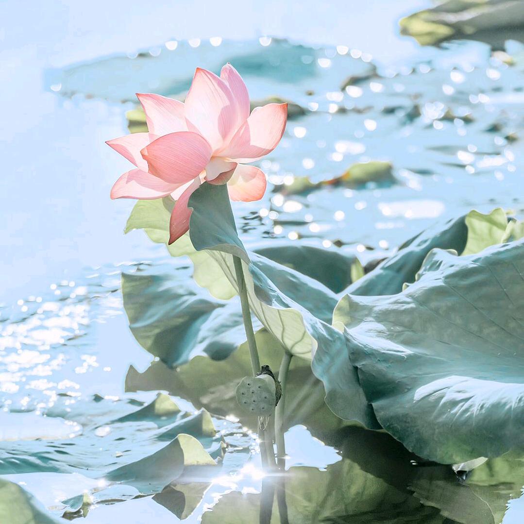 你可不要关注我哇