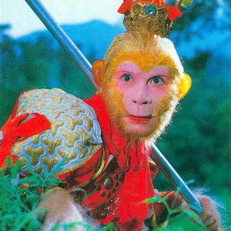 我是八零的猴🐵