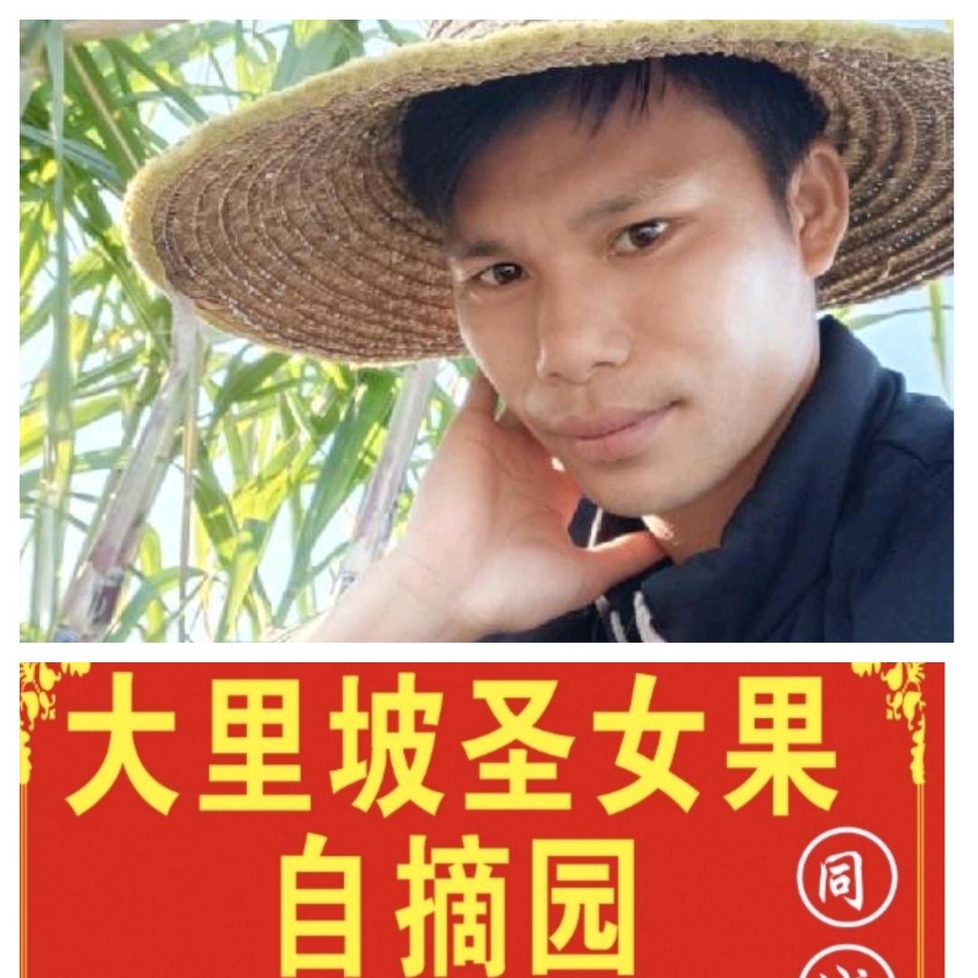 圣女果种植，灵山老成哥