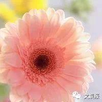 健康快乐的文姐