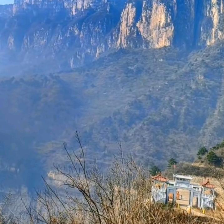 咖啡不懂酒的醉