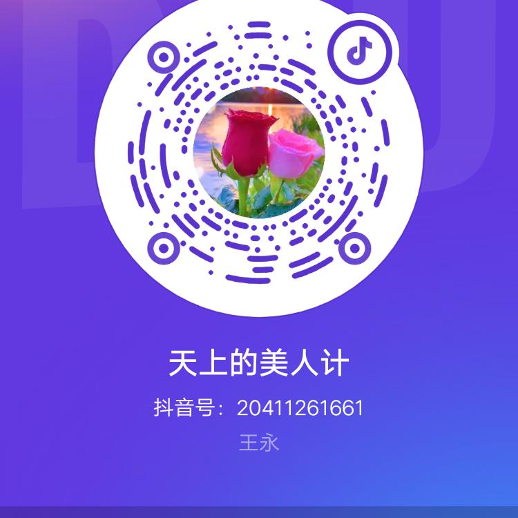 天上美人记