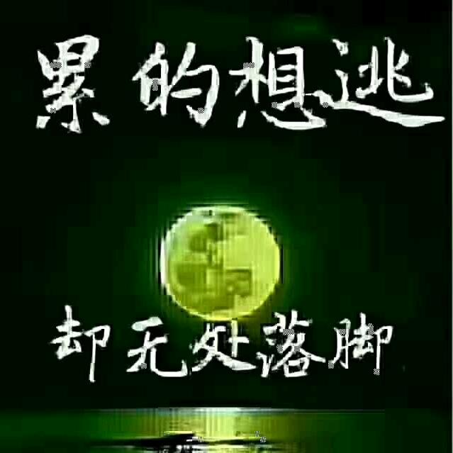 小苹果🍏