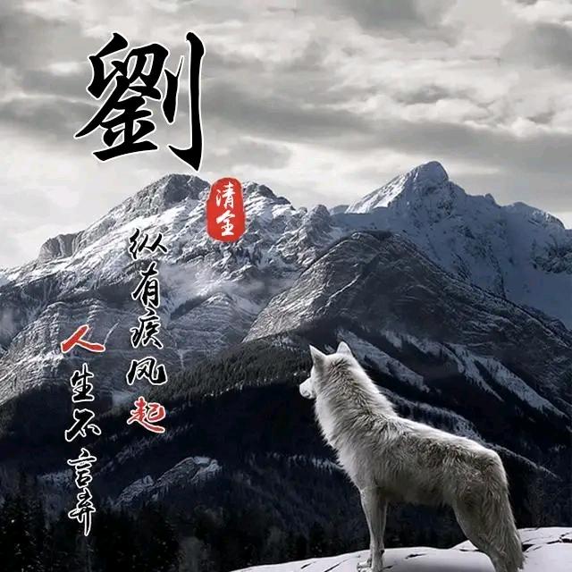 ♞柒玖