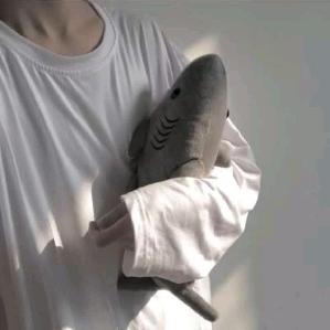 陈陈°头像