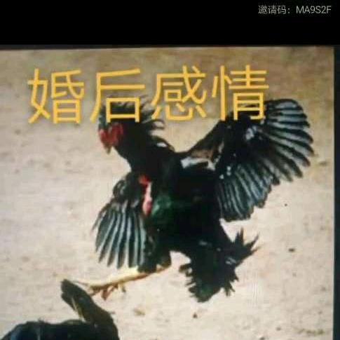 青岛安信诚玻璃装饰工程有限公司李先军