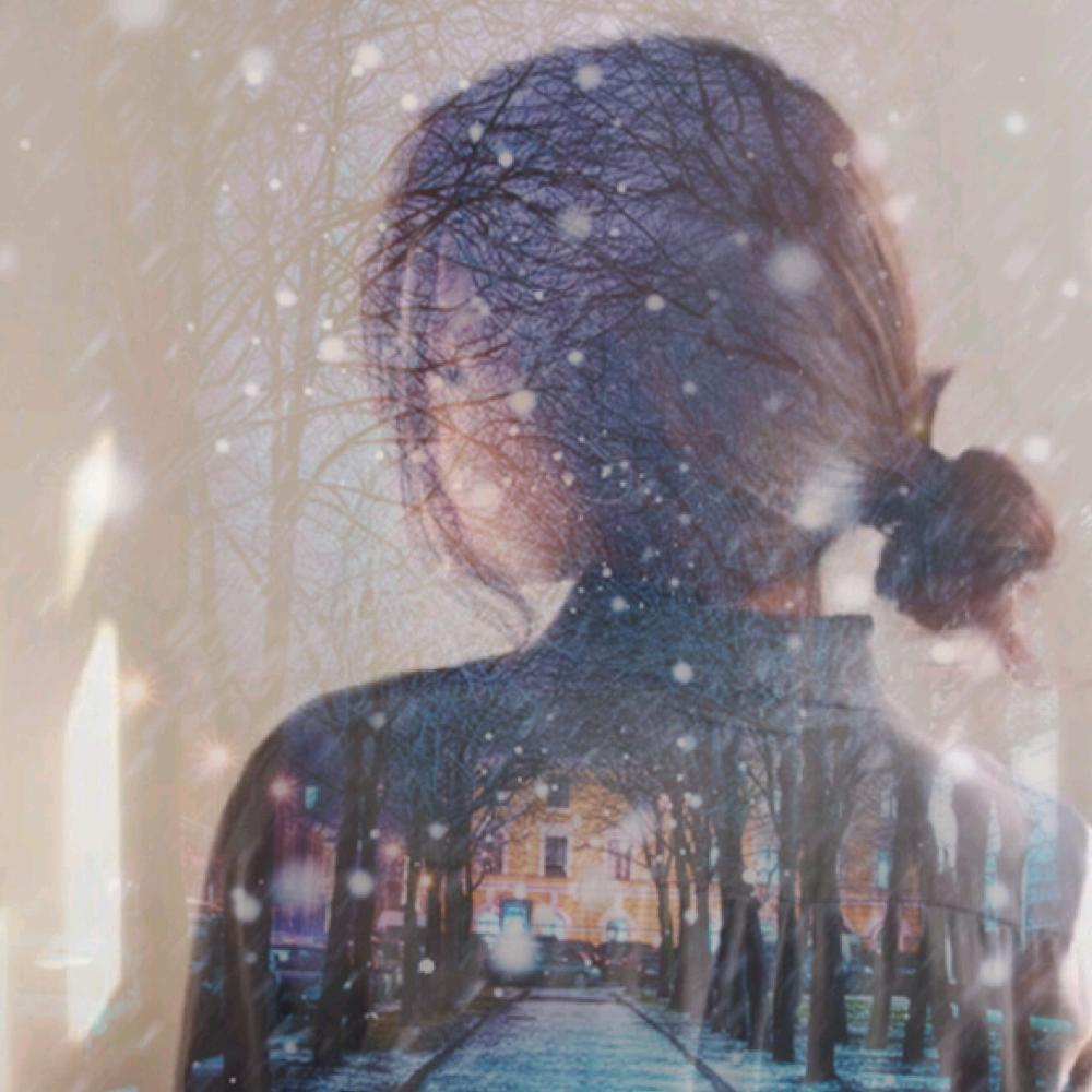燕子