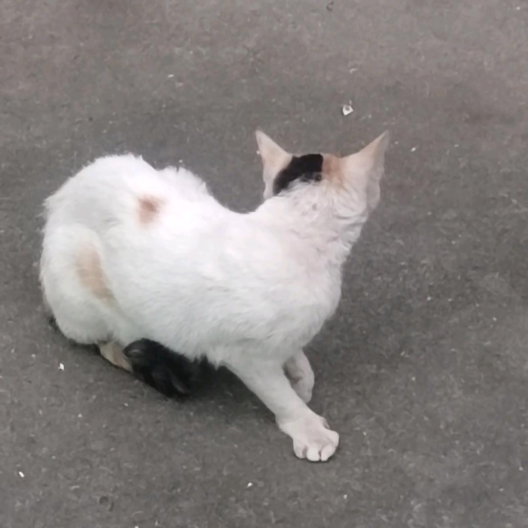 郑平🎱🎱🎱