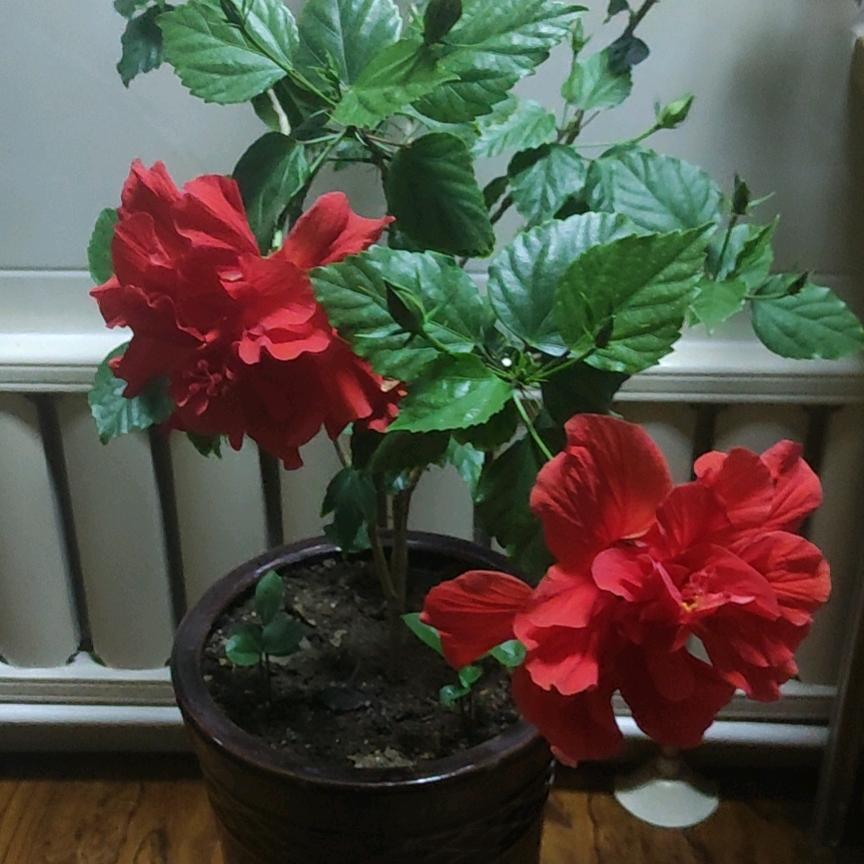 用户1027130303151岁月静好