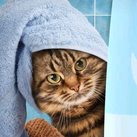 益民胡同老北京布鞋👍👍