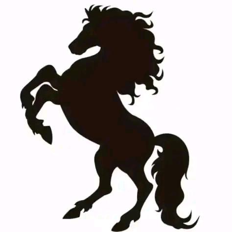 每一天会更好！