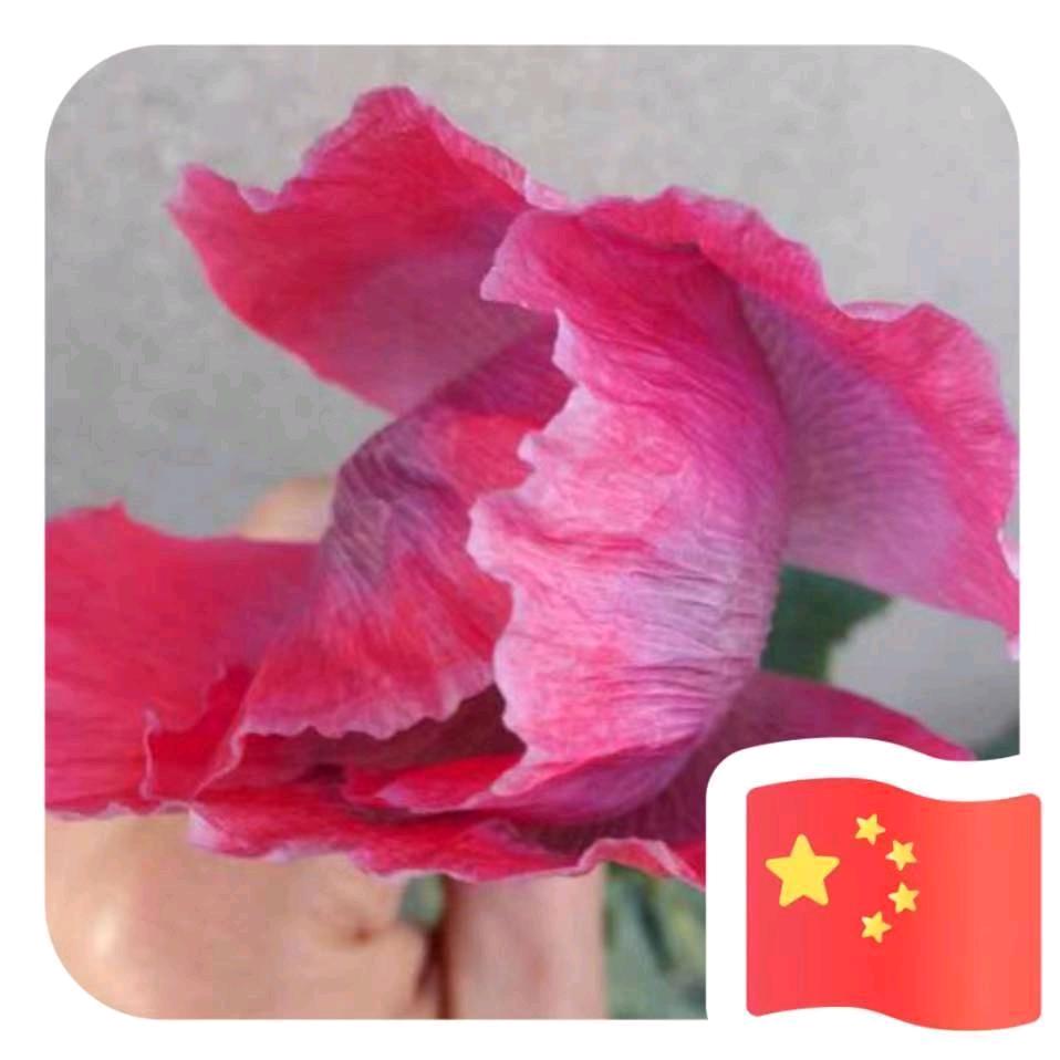 风铃