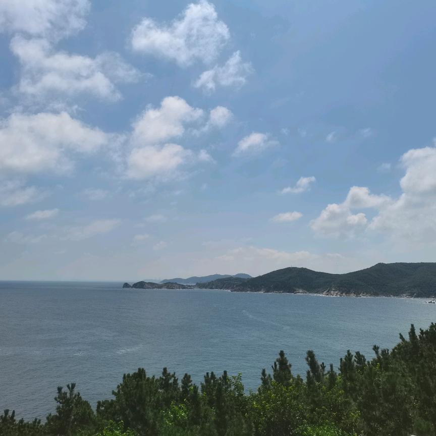 默沫&默沫✨