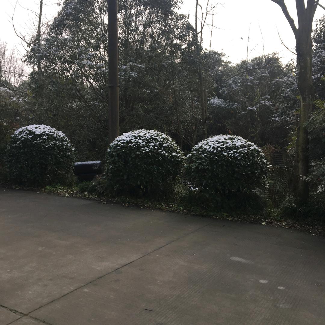一缕青烟
