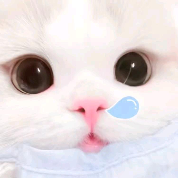 稀