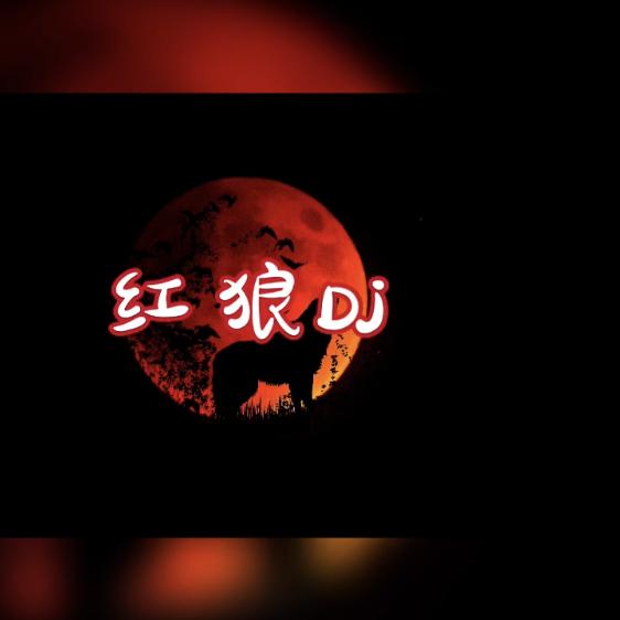 红狼DJ音乐汇