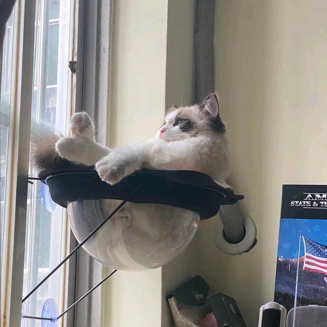 🇨🇳荔园维景康体中心会籍经理_周越