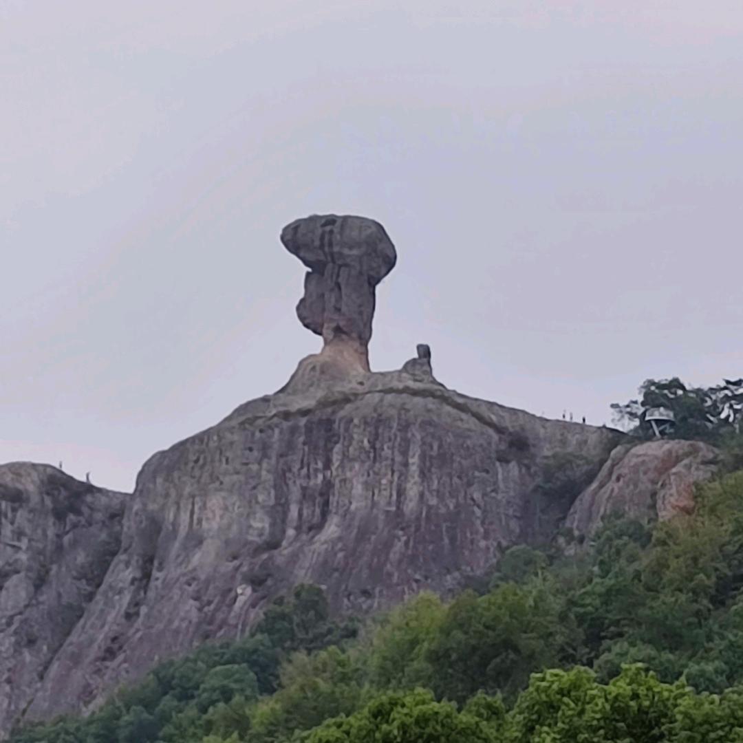 🇨🇳Neng hui⚓️