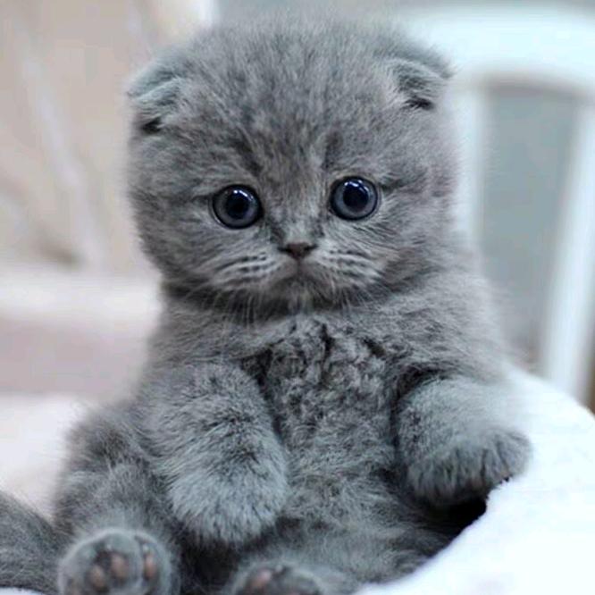 ～悠悠我心🏹～