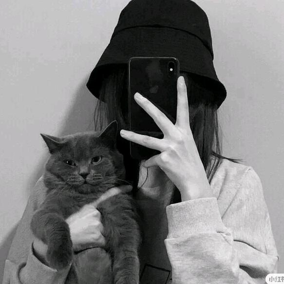 M。