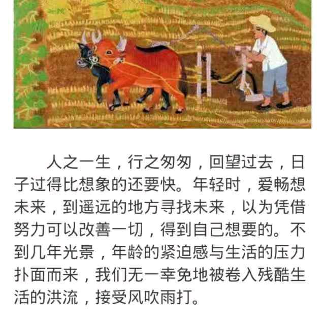 温泳（空调师傅）