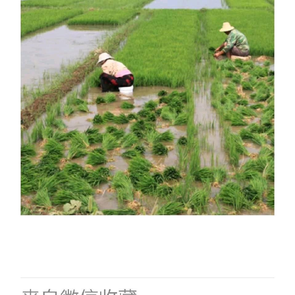 雨过蓝天