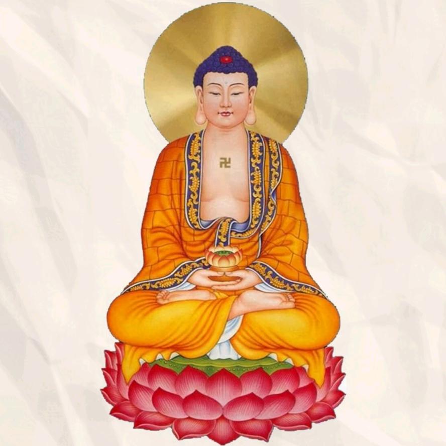 张龙