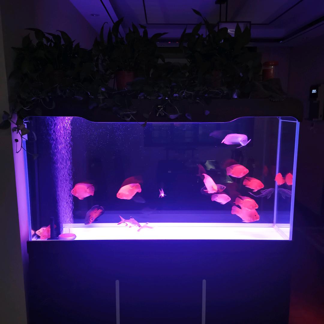 馒头